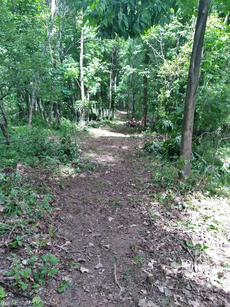 2247 Johnson Mill Road Deerfield Township MI 48461