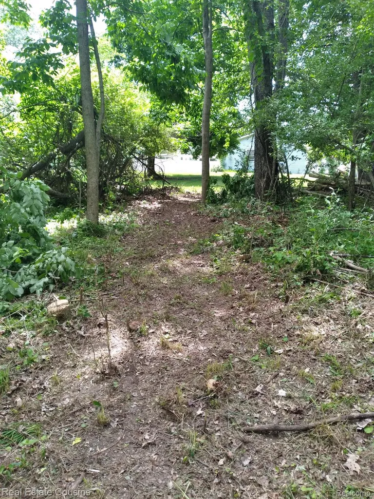 2247 Johnson Mill Road Deerfield Township MI 48461