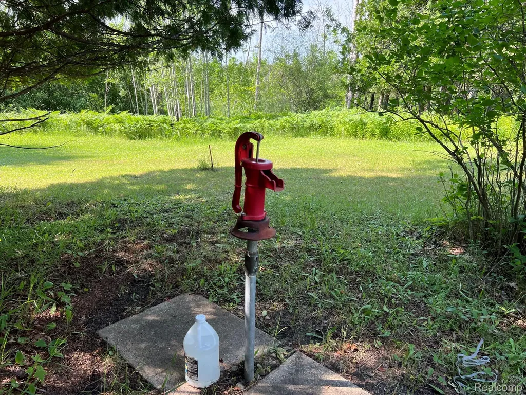 3425 Rushton Road Central Lake Township MI 49622