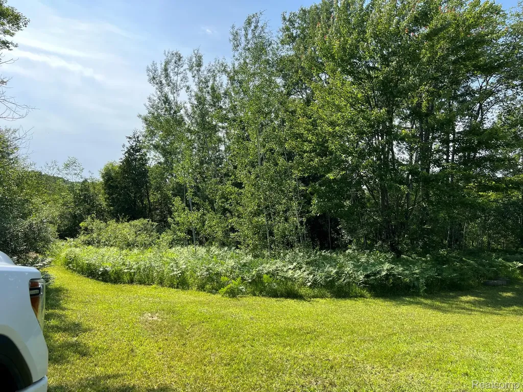 3425 Rushton Road Central Lake Township MI 49622