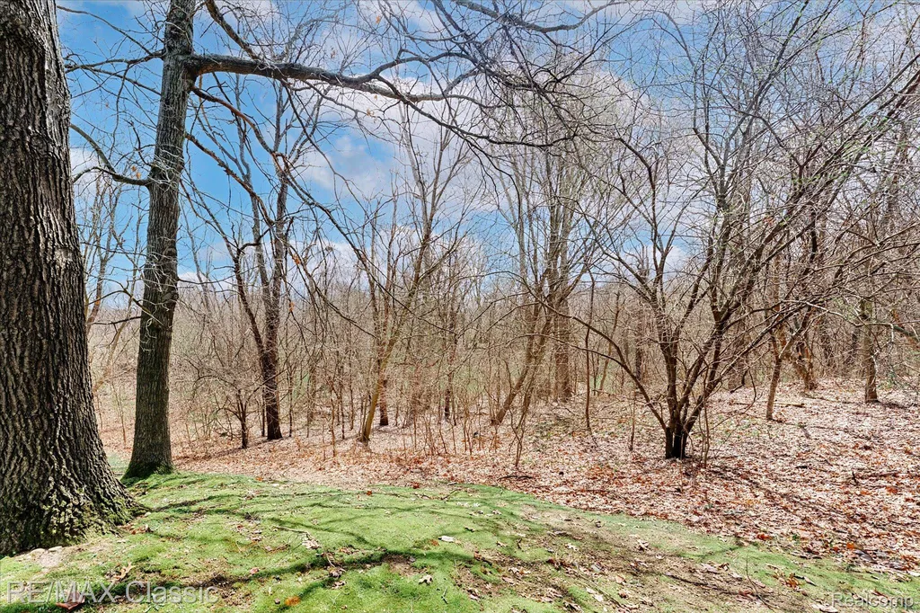 9039 Lake E Road Springfield Charter Township MI 48348