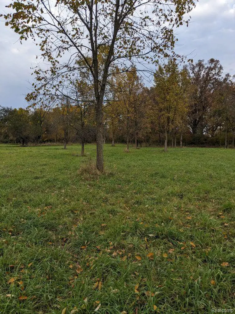12885 Ebeling Road Bruce Township MI 48065