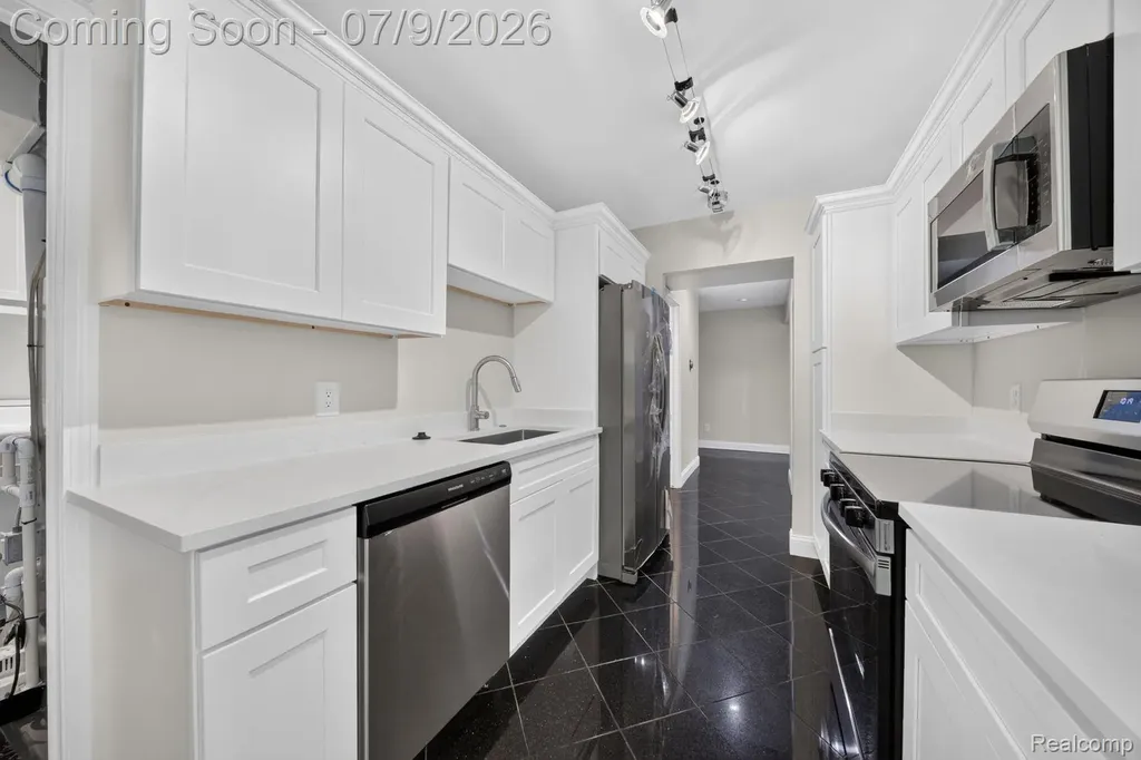 27165 Farmbrook Villa Drive Southfield City MI 48034