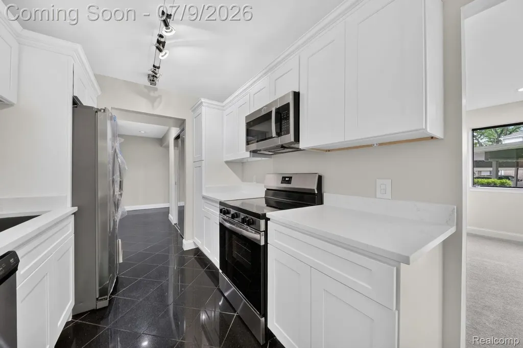 27165 Farmbrook Villa Drive Southfield City MI 48034
