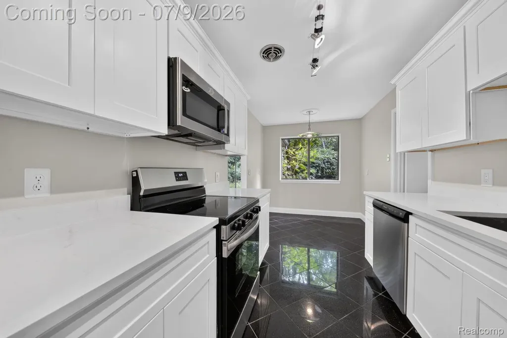 27165 Farmbrook Villa Drive Southfield City MI 48034