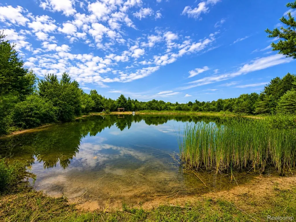 643 N Hockaday Road Gladwin Township MI 48624