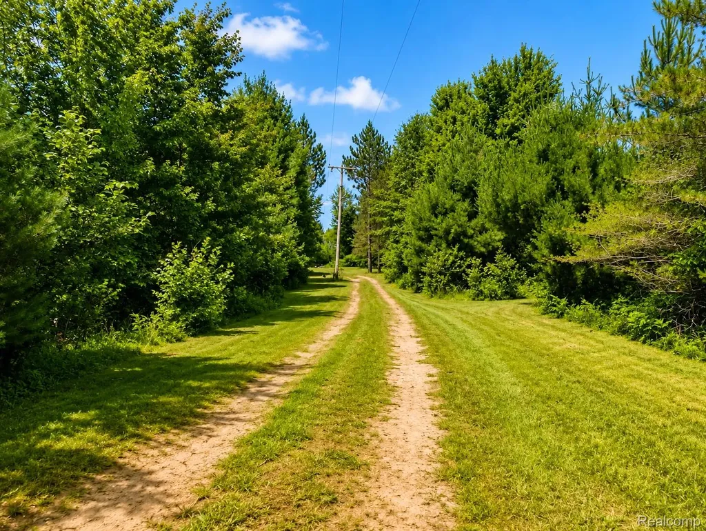 643 N Hockaday Road Gladwin Township MI 48624
