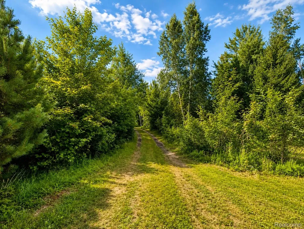 643 N Hockaday Road Gladwin Township MI 48624