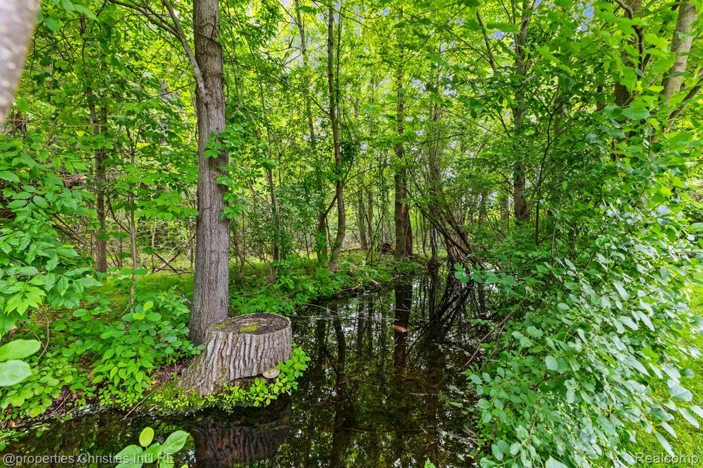 3095 Hidden Timber Drive Orion Charter Township MI 48359