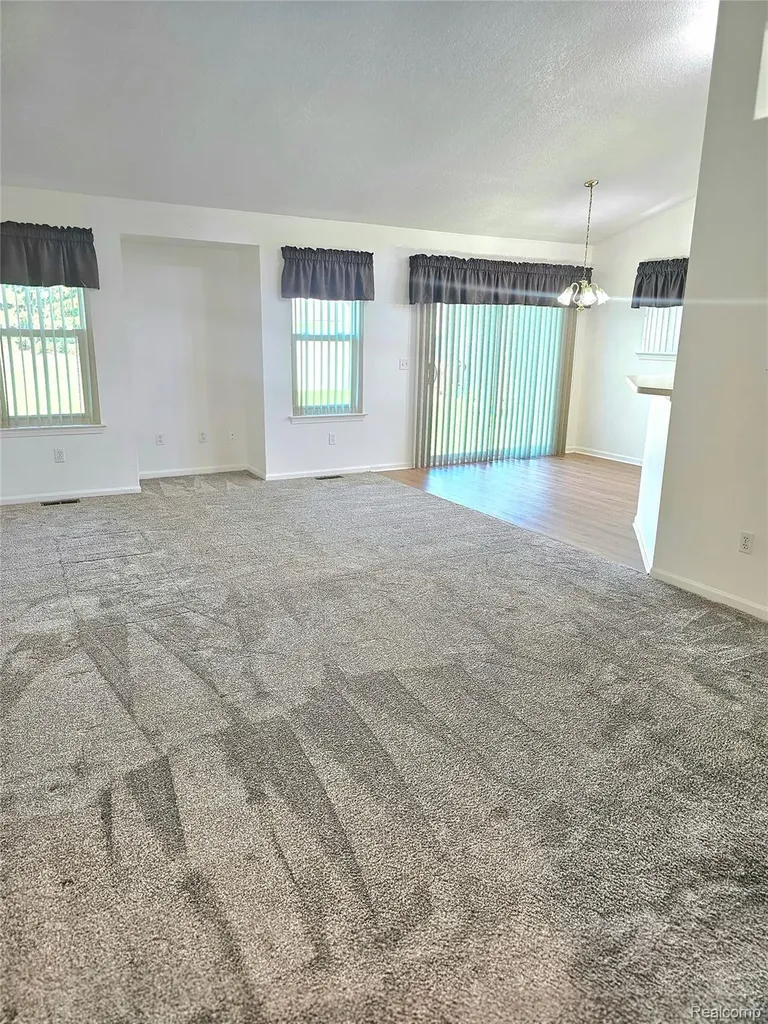 450 Lilly View Court Genoa Township MI 48843