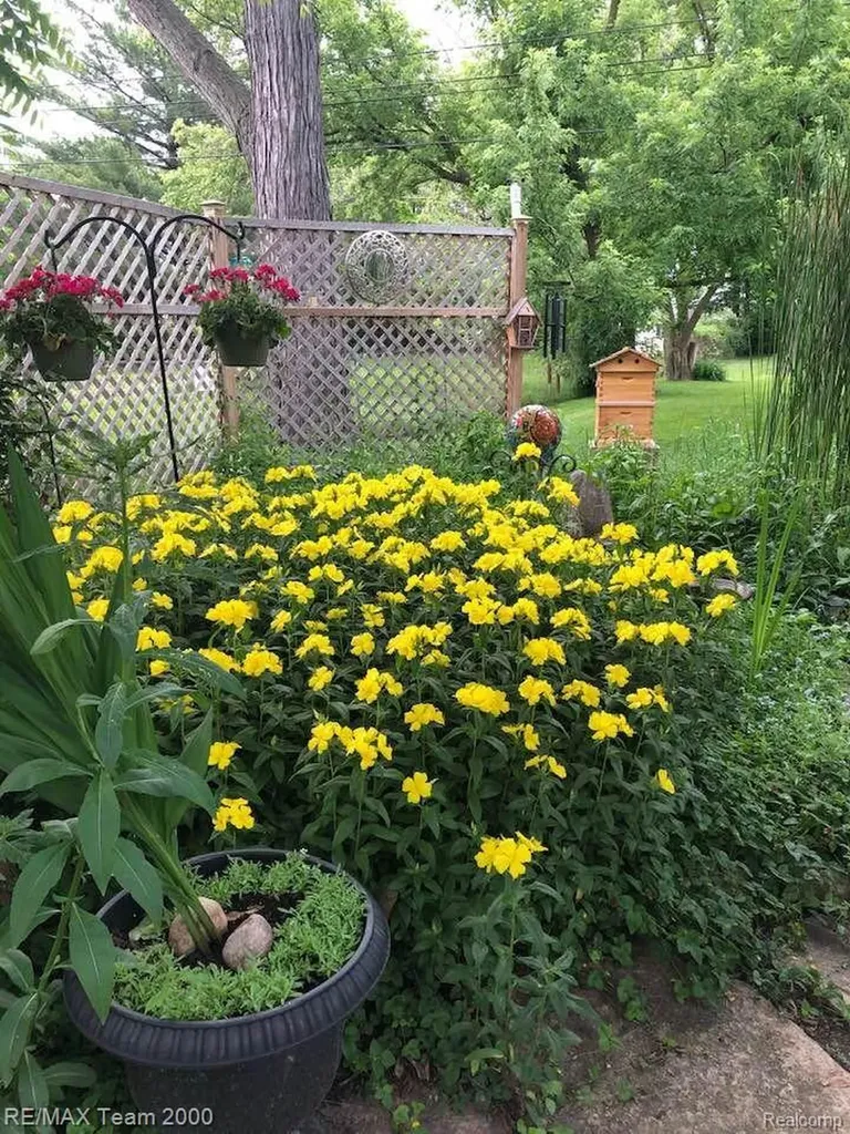 29054 Bock Street Garden City City MI 48135