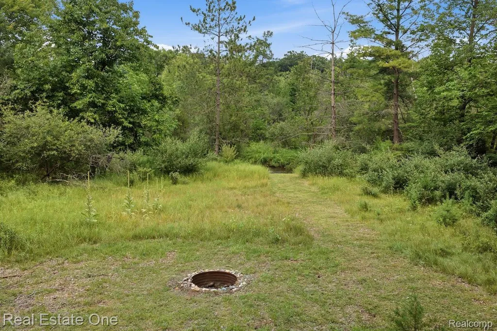 10947 Arbour Drive Brighton Township MI 48114