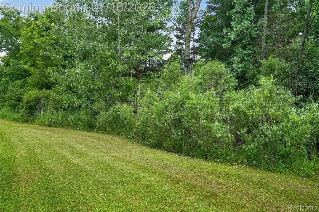 11210 Linden Road Fenton Charter Township MI 48451