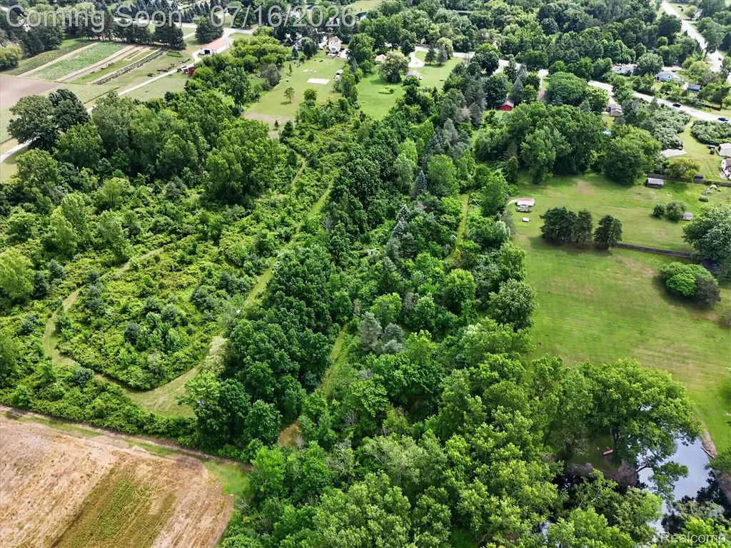 11210 Linden Road Fenton Charter Township MI 48451