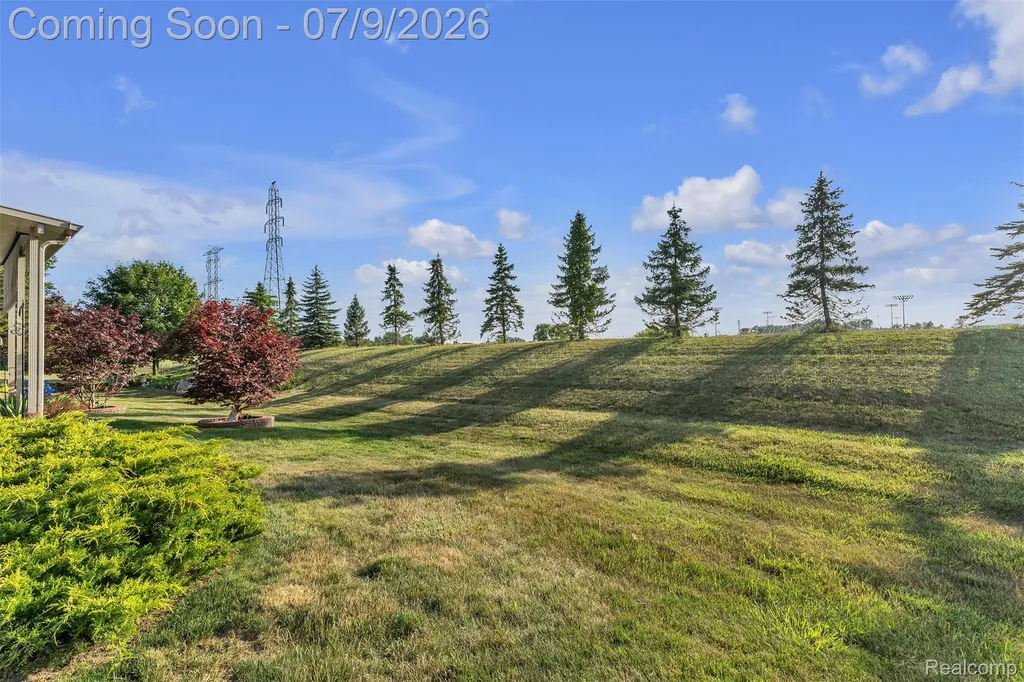 25476 Tara Lane Brownstown Charter Township MI 48134