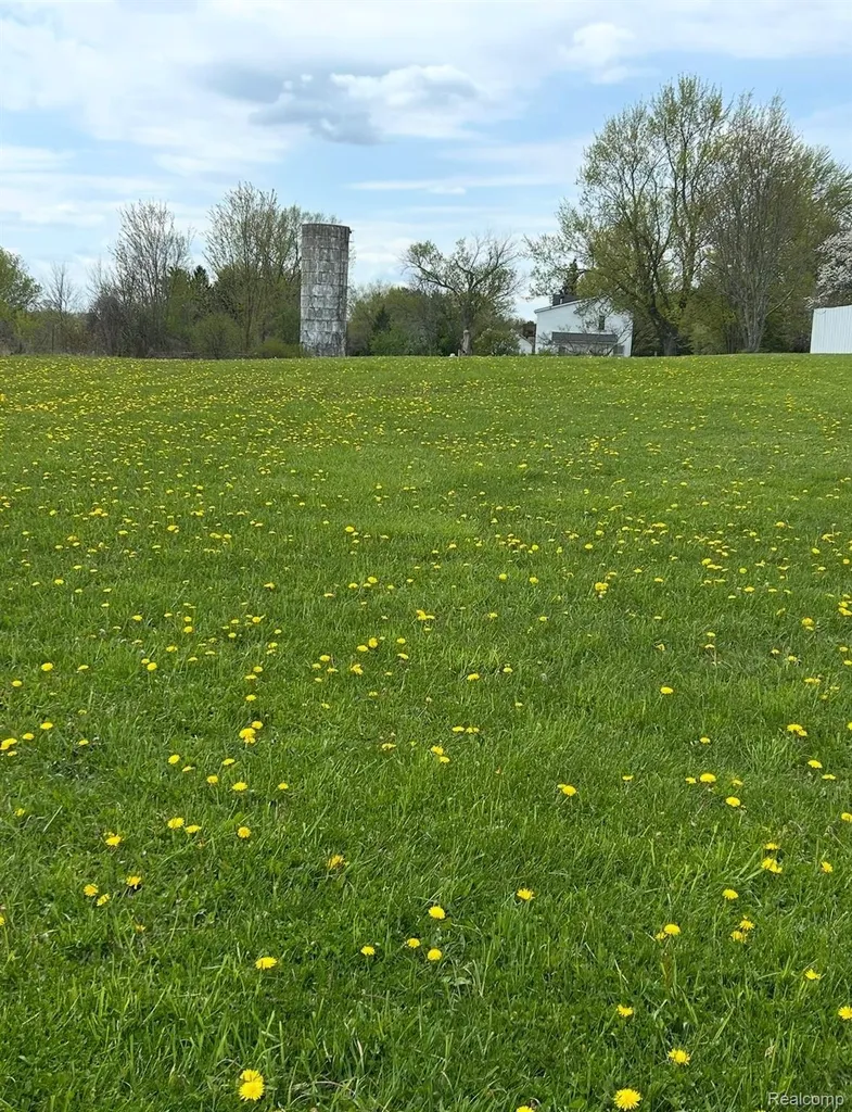 1285 S Cummings Road Davison City MI 48423