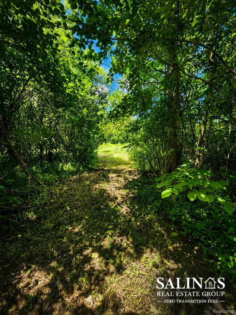 2120 Montague Road Davison Township MI 48423