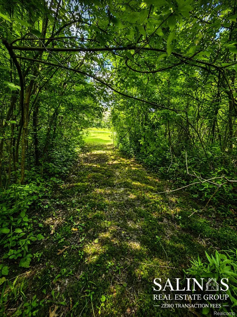2120 Montague Road Davison Township MI 48423