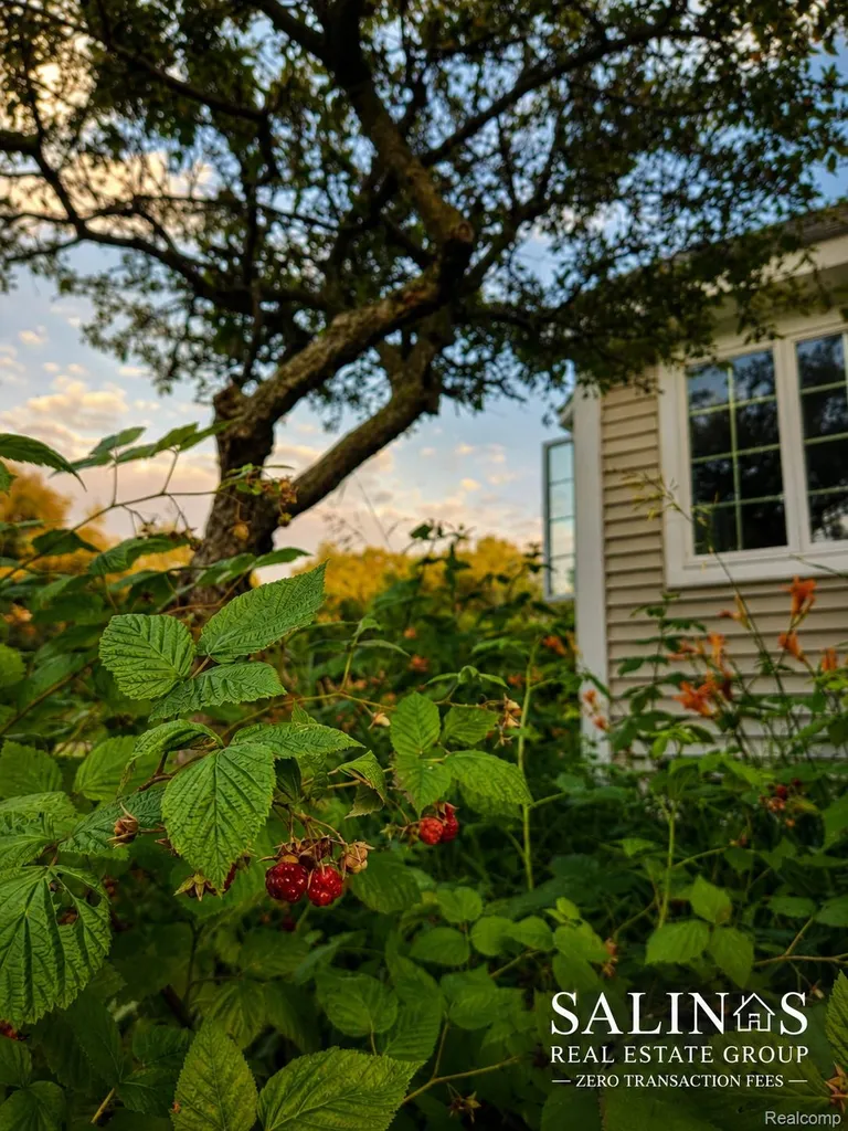 2120 Montague Road Davison Township MI 48423