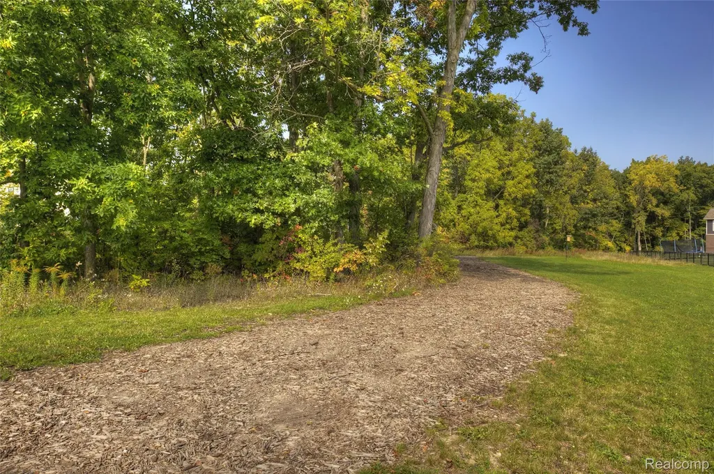 2429 Walnut View Drive Hartland Township MI 48855