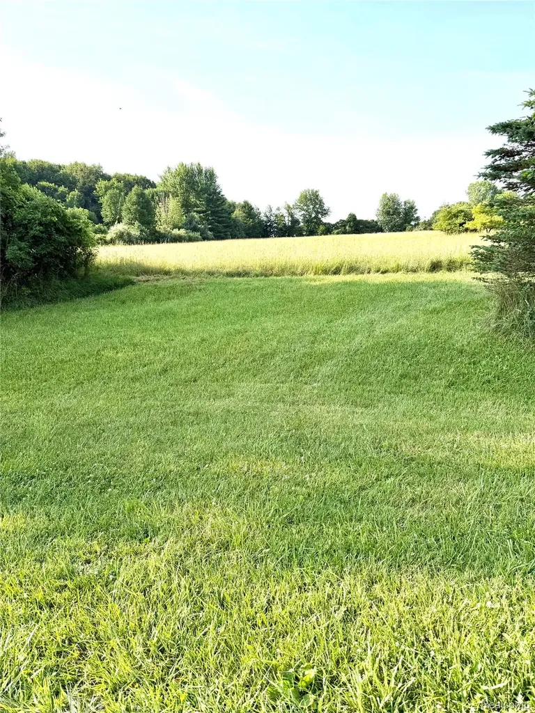 0070102220 Meadow Lane Dryden Township MI 48428