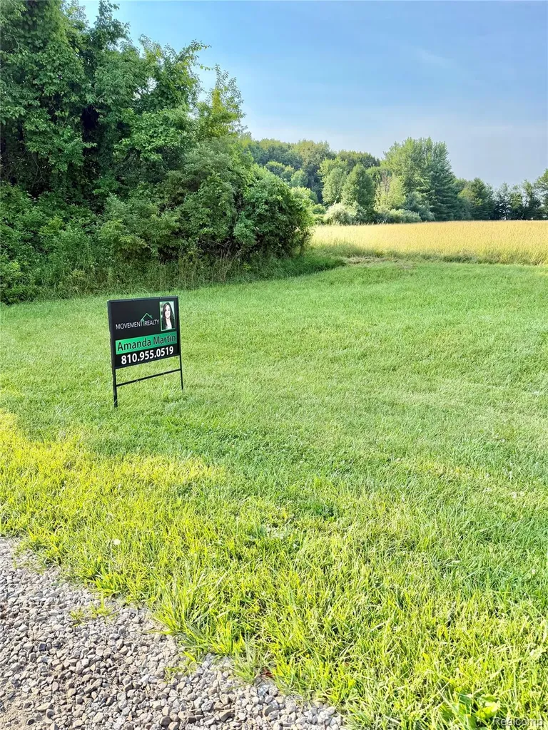 0070102220 Meadow Lane Dryden Township MI 48428