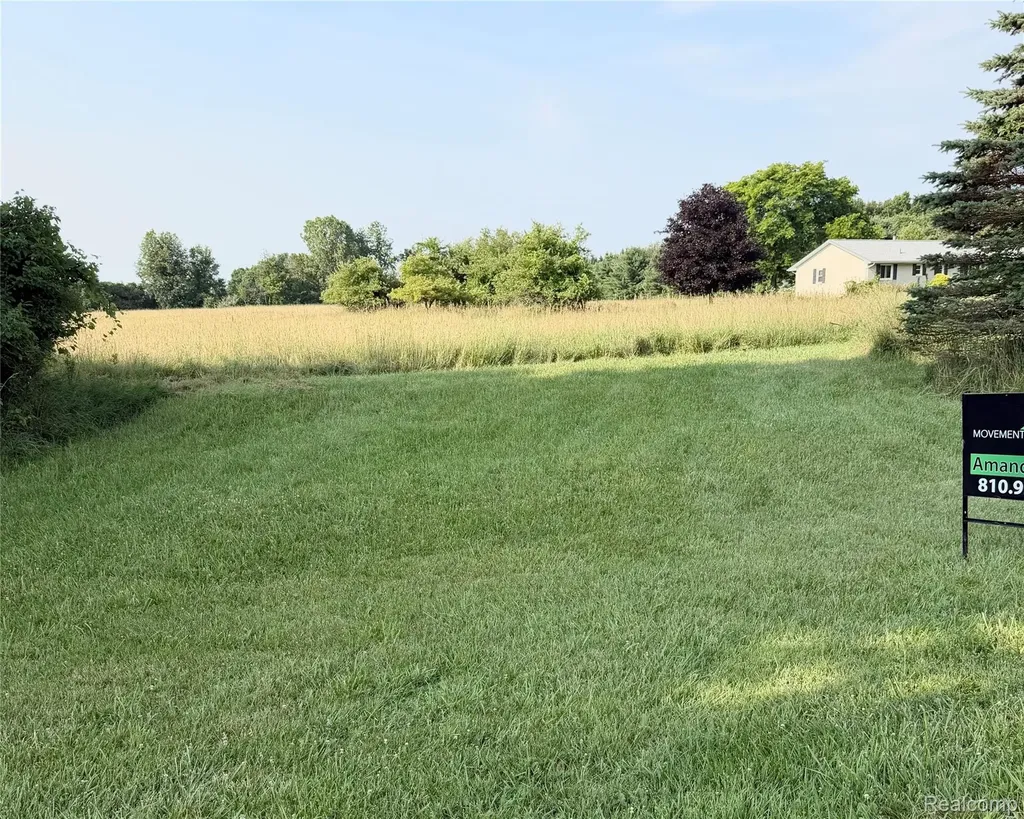 0070102220 Meadow Lane Dryden Township MI 48428