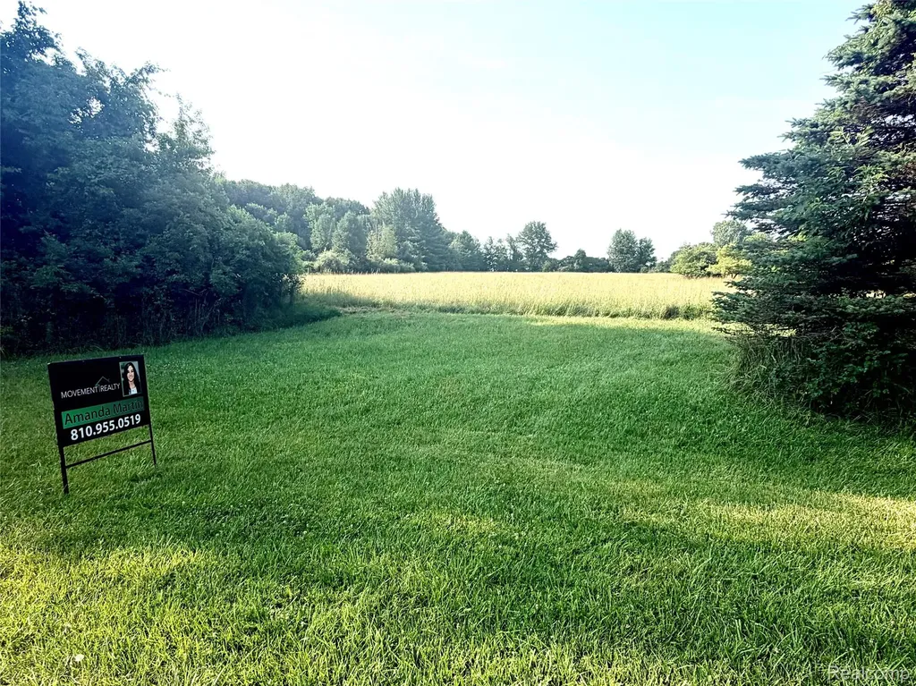 0070102220 Meadow Lane Dryden Township MI 48428