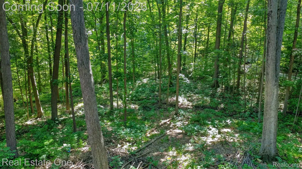 310 S Van Road Groveland Township MI 48442
