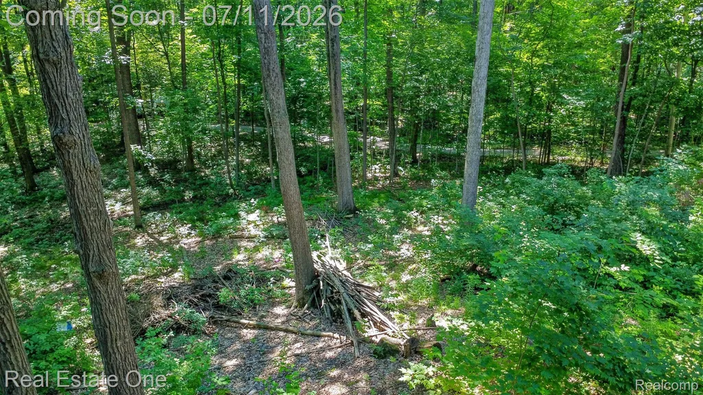 310 S Van Road Groveland Township MI 48442