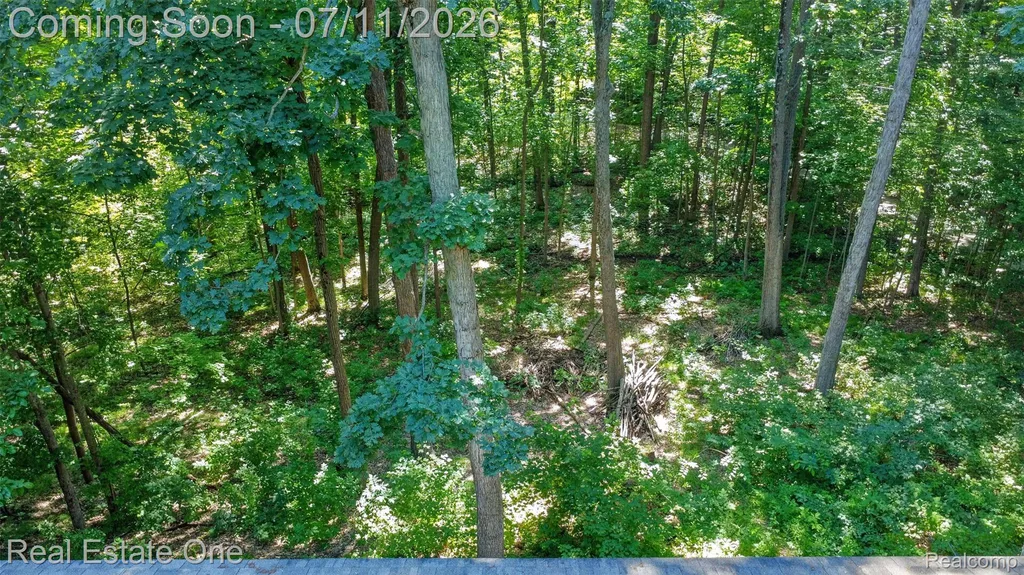 310 S Van Road Groveland Township MI 48442