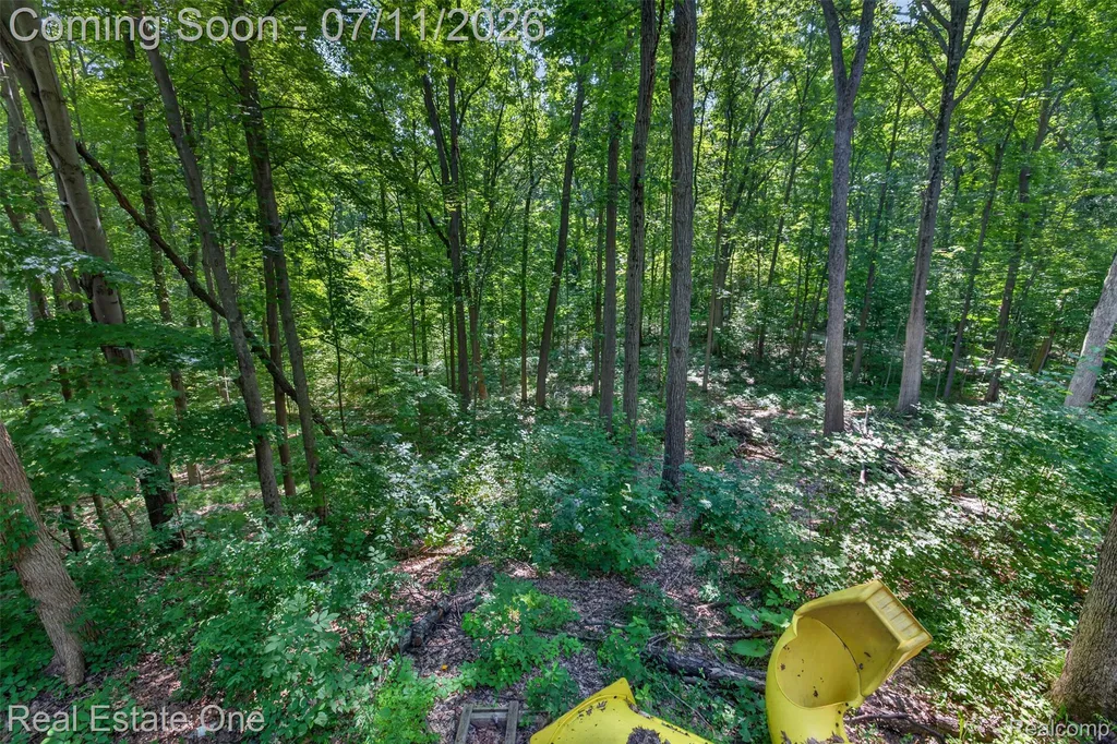 310 S Van Road Groveland Township MI 48442