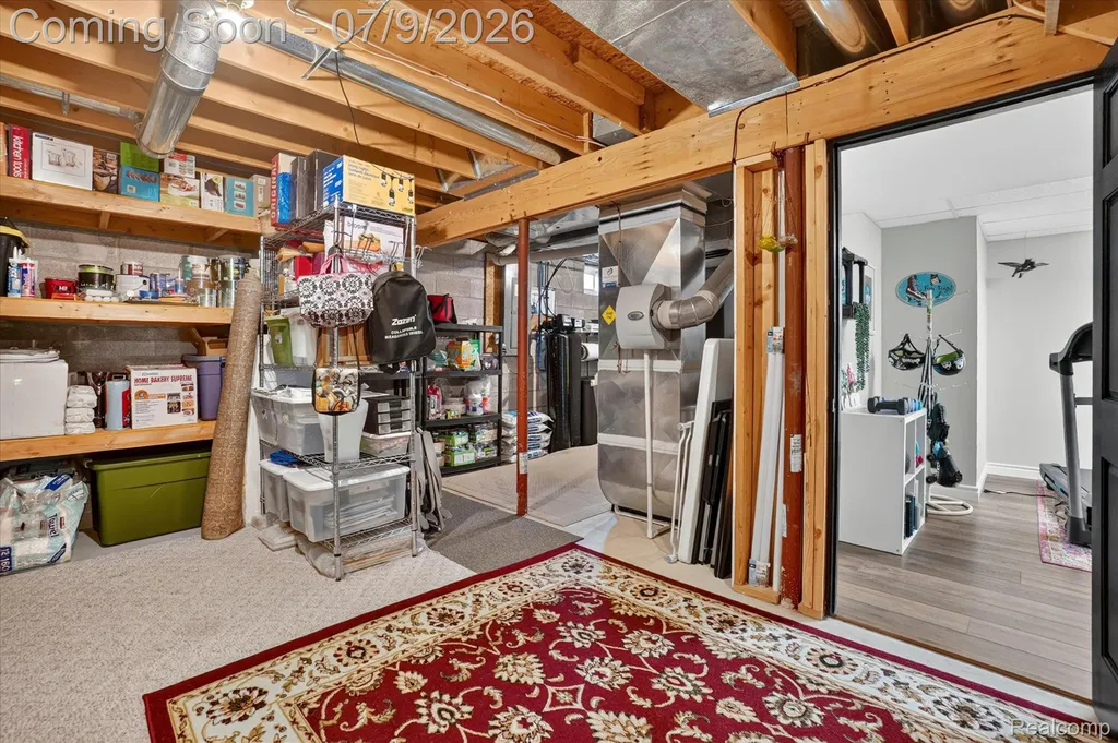 7071 W Grand River Road Handy Township MI 48836