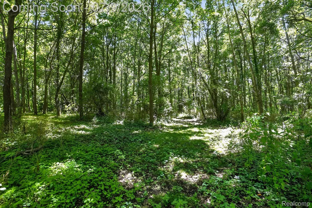 7071 W Grand River Road Handy Township MI 48836