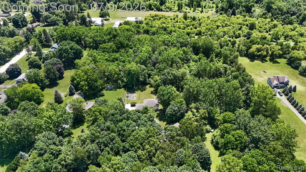 7071 W Grand River Road Handy Township MI 48836