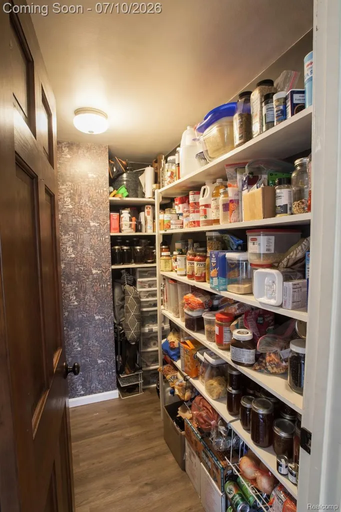 5278 Skelton Road Deerfield Township MI 48421
