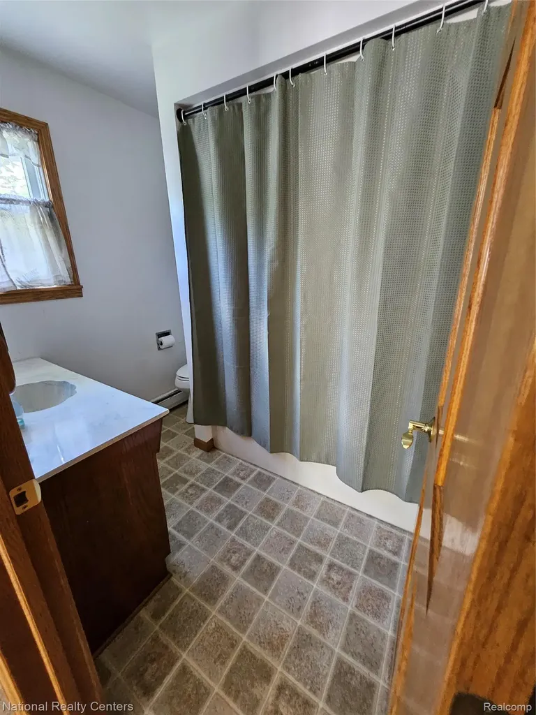 6053 3rd Street Mayville Village MI 48744