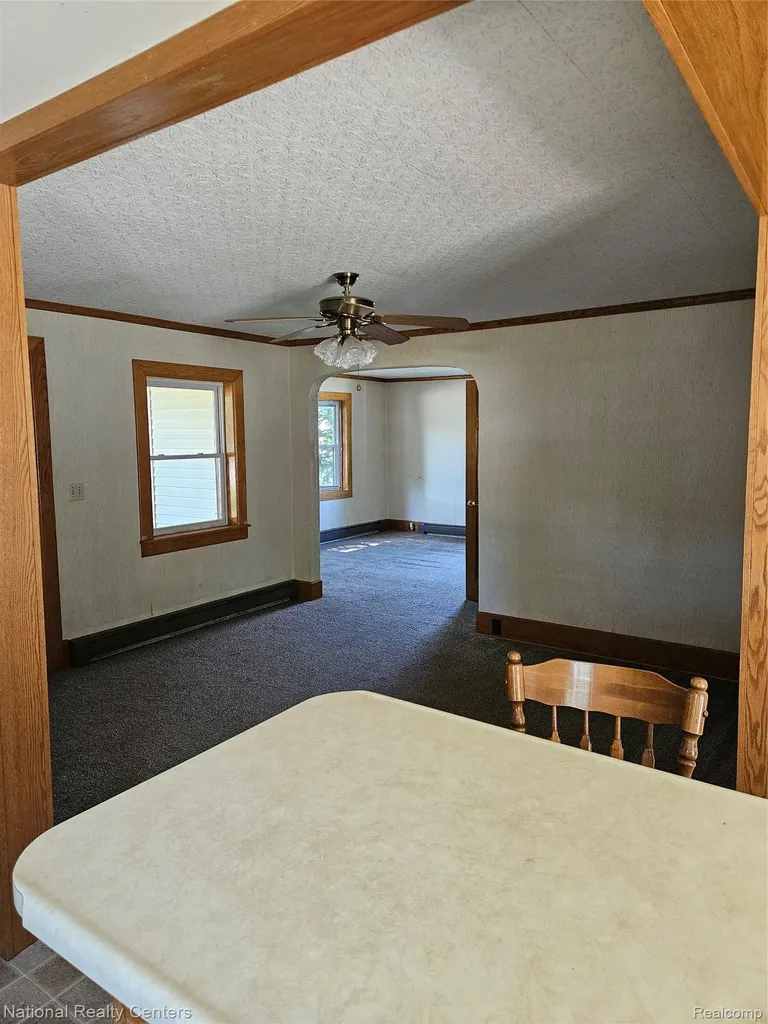 6053 3rd Street Mayville Village MI 48744