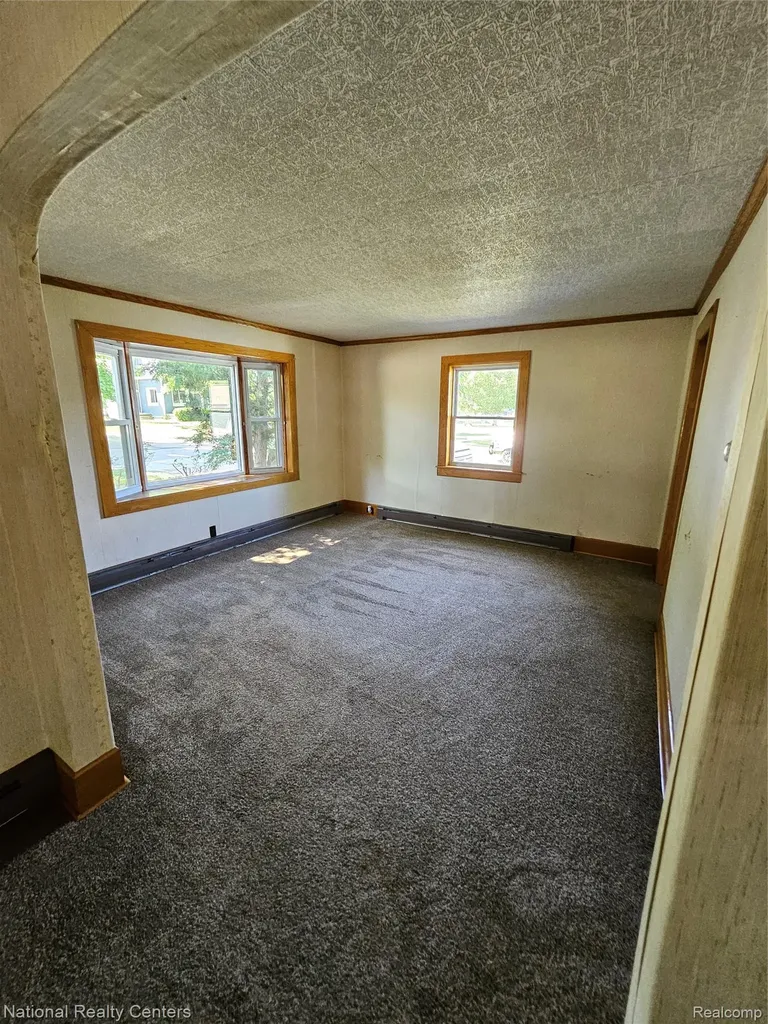 6053 3rd Street Mayville Village MI 48744