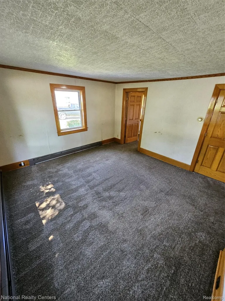 6053 3rd Street Mayville Village MI 48744