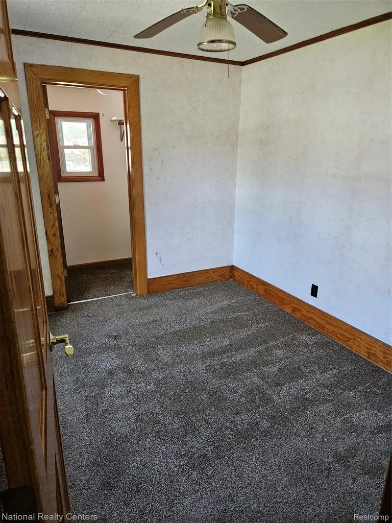6053 3rd Street Mayville Village MI 48744