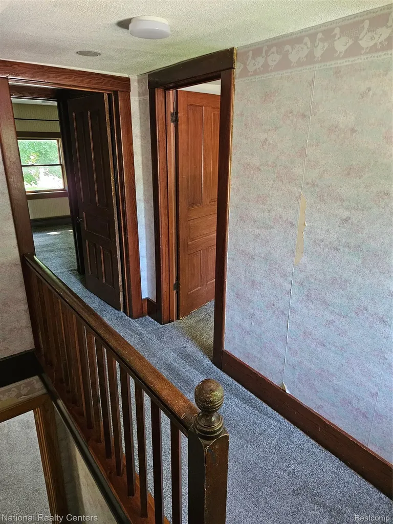 6053 3rd Street Mayville Village MI 48744