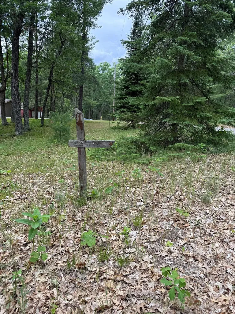 2192 Lake Road S Plainfield Township MI 48748