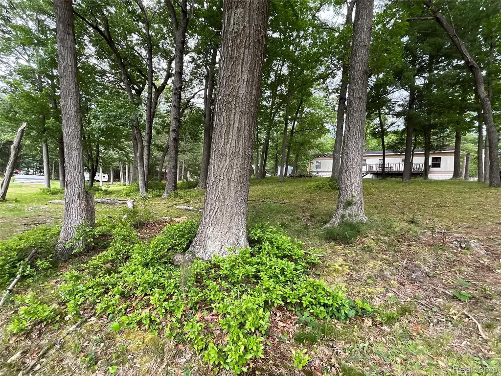 2192 Lake Road S Plainfield Township MI 48748