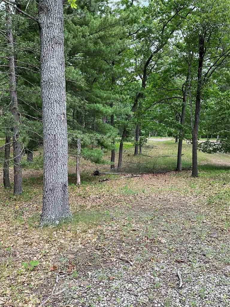2192 Lake Road S Plainfield Township MI 48748