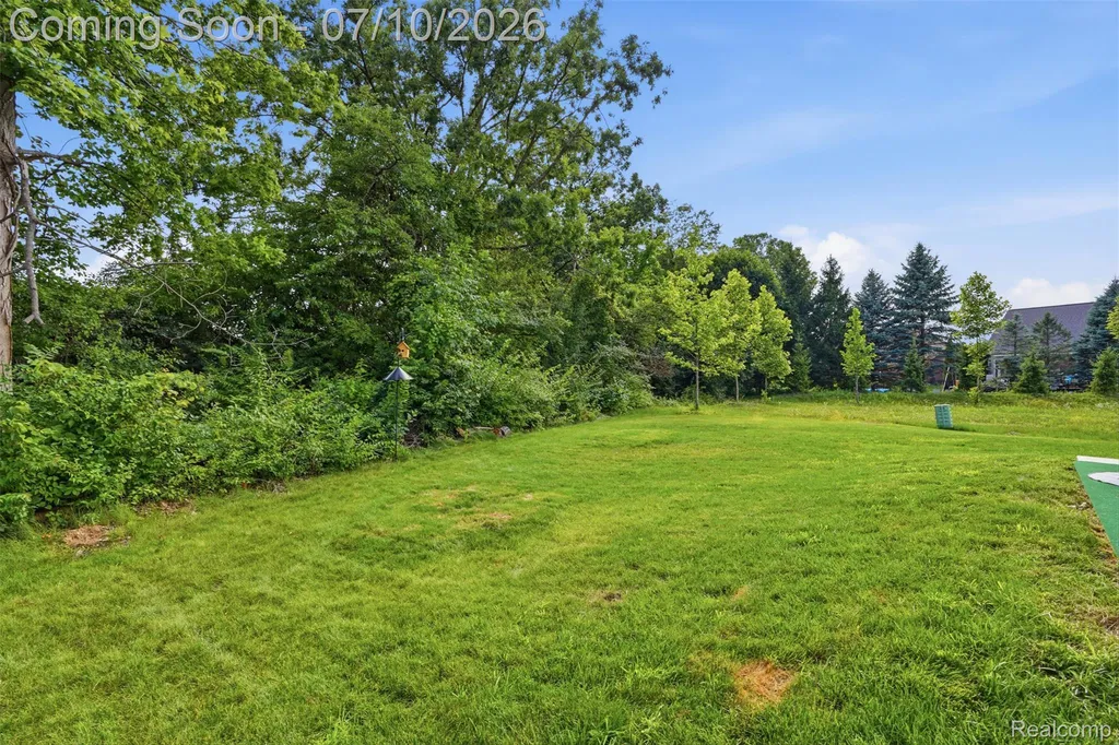 11789 Hines Place Drive Livonia City MI 48150