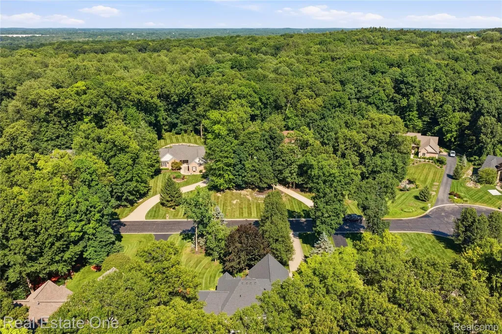 472 Timbermill Lane Marion Township MI 48843