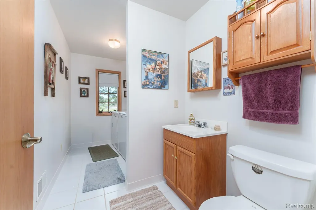 5382 Meadowlawn Road Handy Township MI 48836