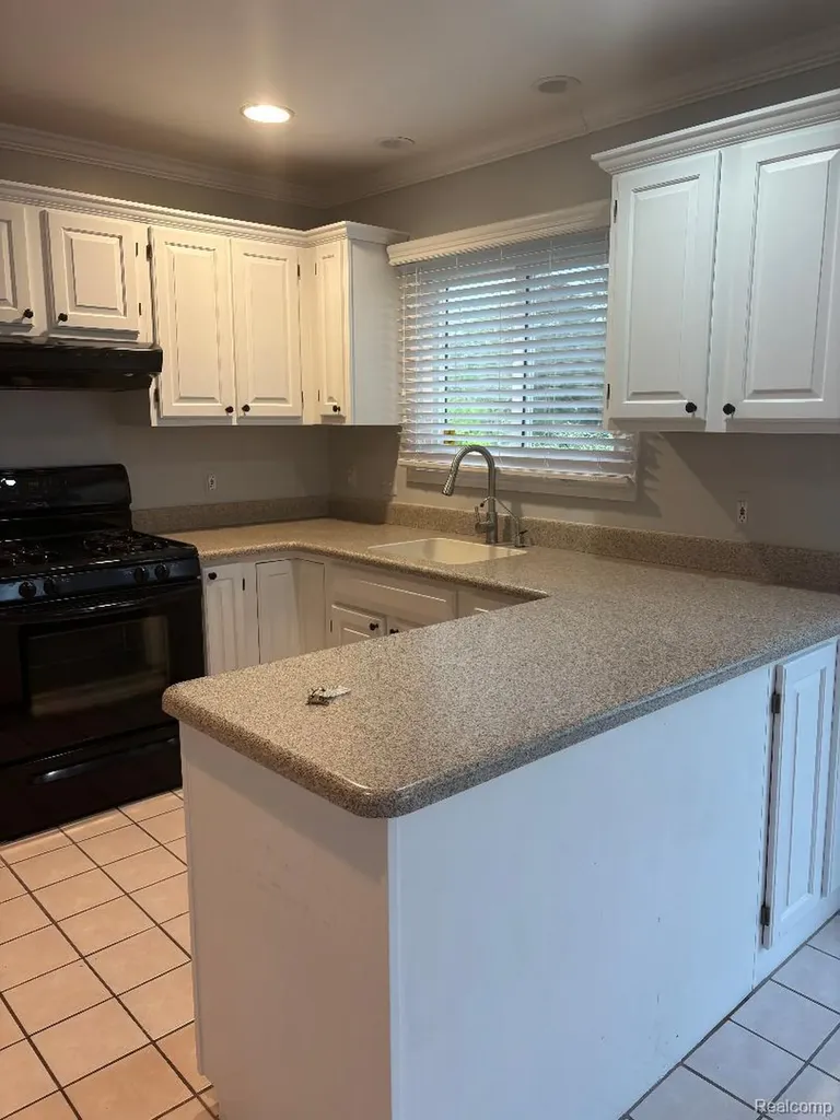 36715 Paddock Drive Clinton Charter Township MI 48035