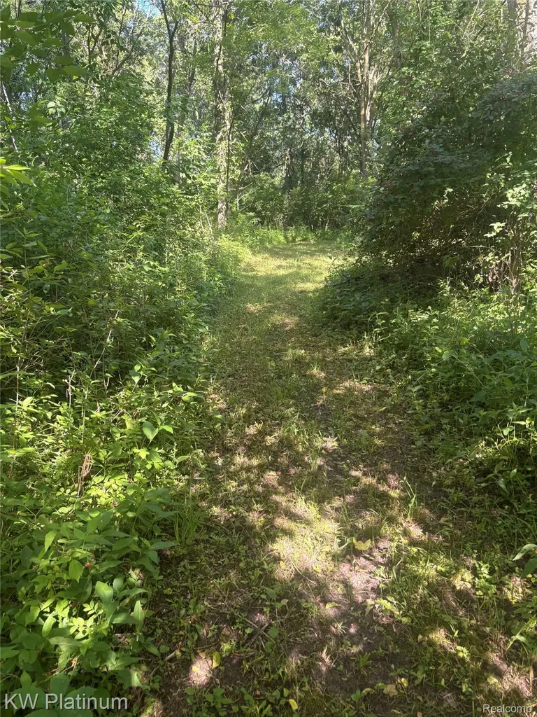 7280 North Road Burtchville Township MI 48059